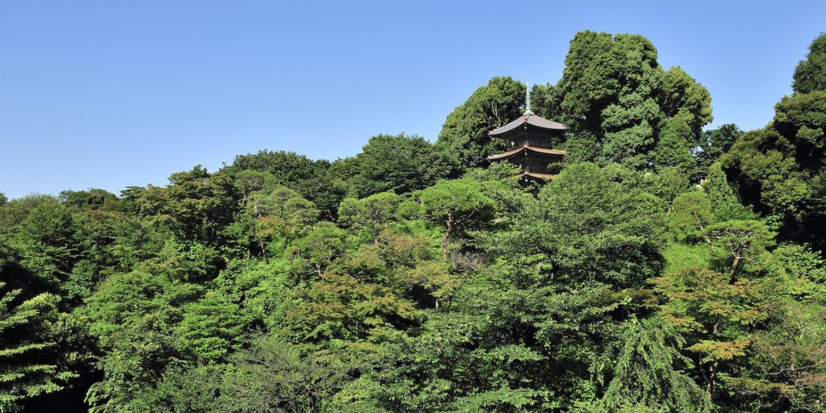 歴史的風情と美しい庭園に囲まれた「ホテル椿山荘東京」