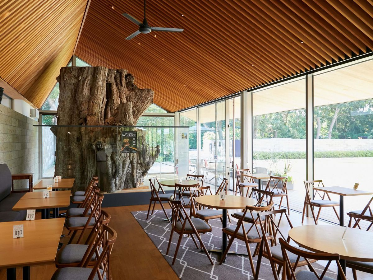 入店したらまず席をキープ。その後セルフレジでオーダーを行うスタイルです