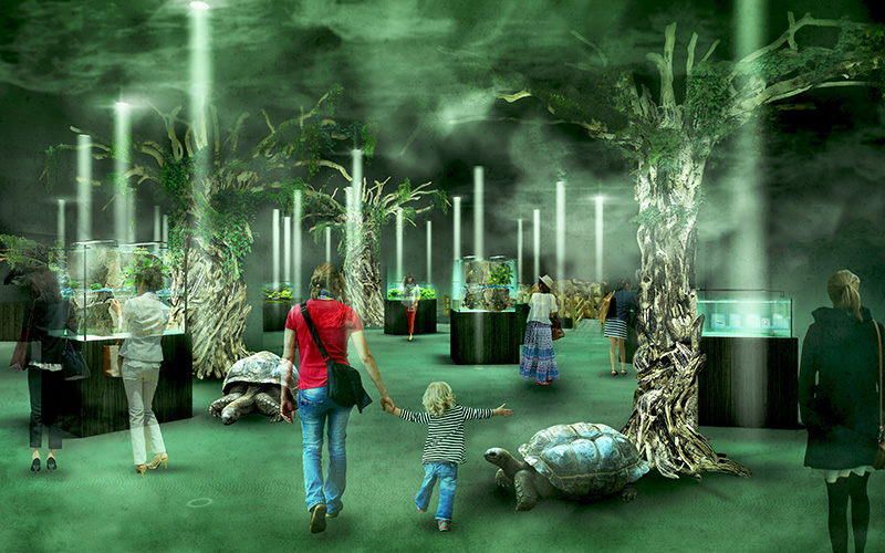 霧が立ち込める樹海の森「EREMENTS－精霊の森」