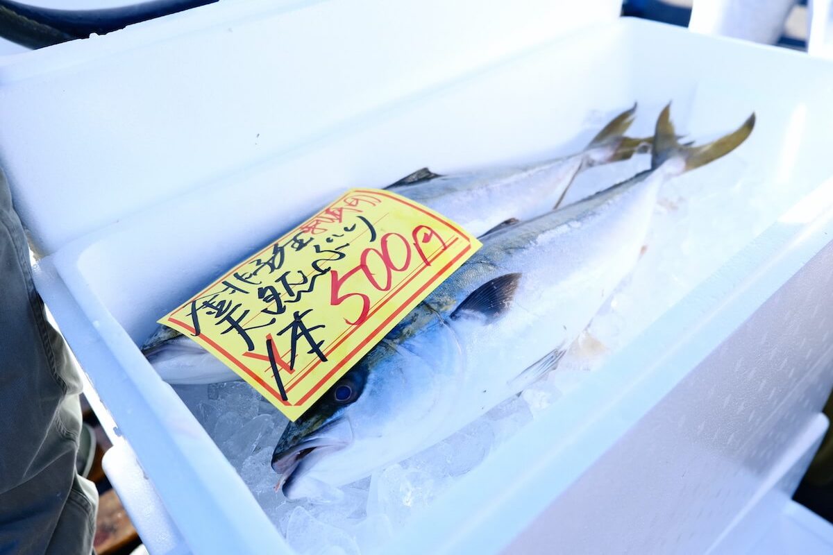 丸ごと1本500円のぶり