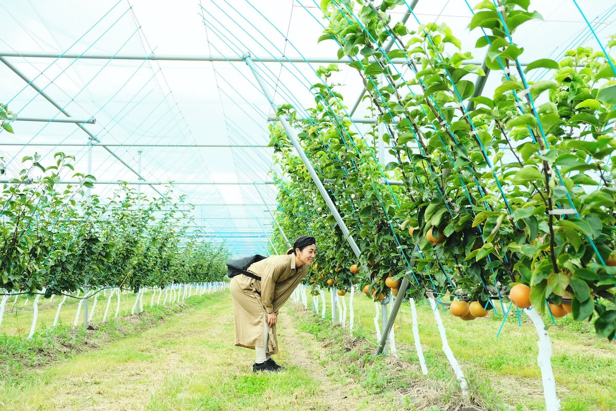 JRフルーツパーク仙台あらはまの梨狩り
