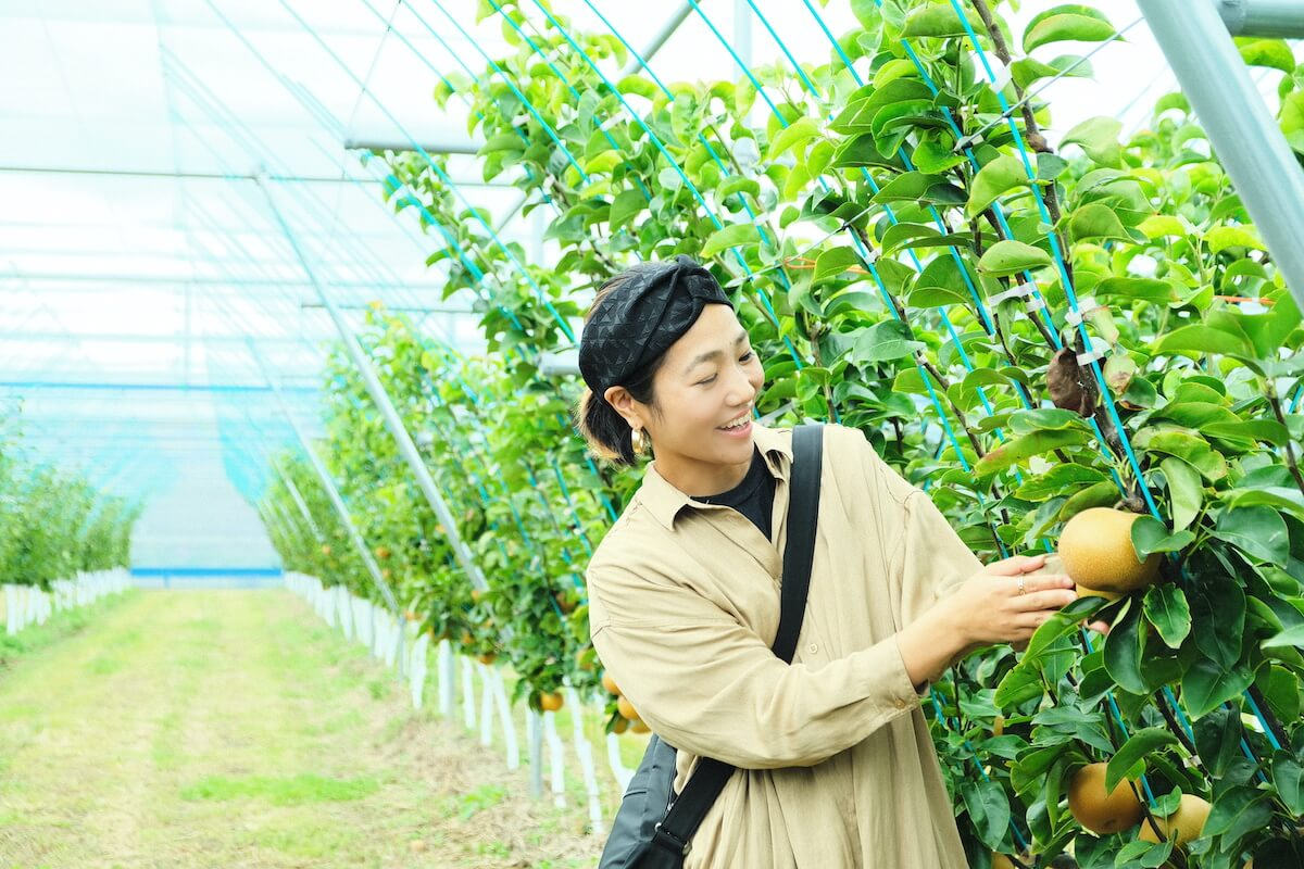 JRフルーツパーク仙台あらはまに実る梨