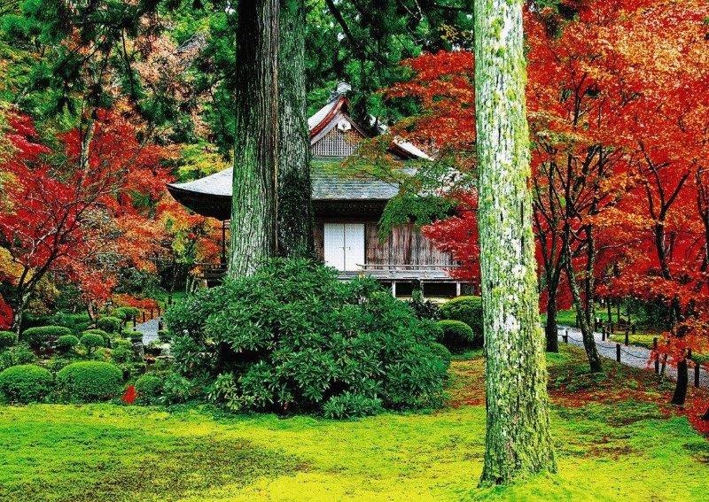 【京都】紅葉も有名！大原の歴史スポット半日さんぽプラン