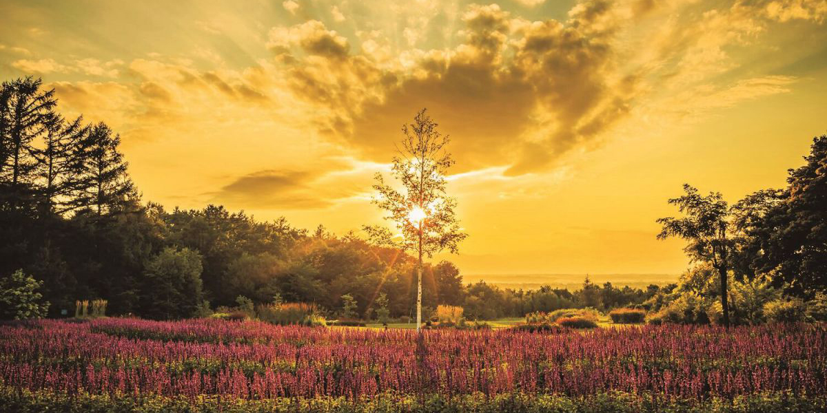 Keikoさんが教えるムーンウェルネス 10月の新月＆満月を狙う開運おでかけスポット