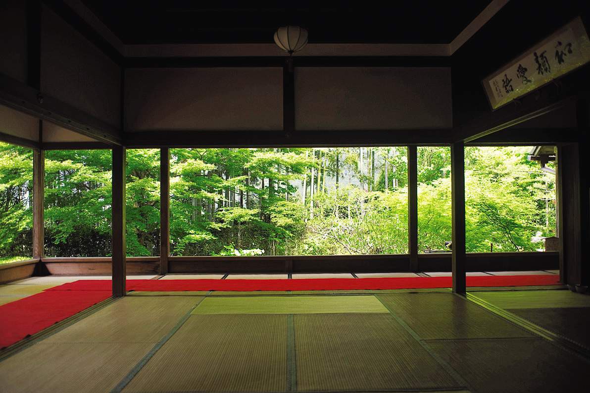 竹林に楓が爽やかな盤桓園。紅葉の季節も見たい