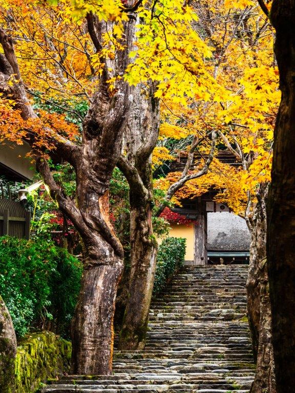 秋には紅葉が見事な寂光院門前の石段