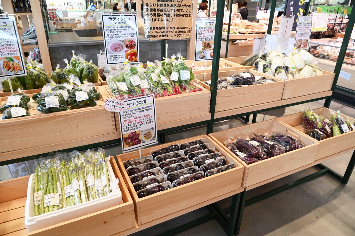珍しい野菜は「新顔野菜」として陳列されている
