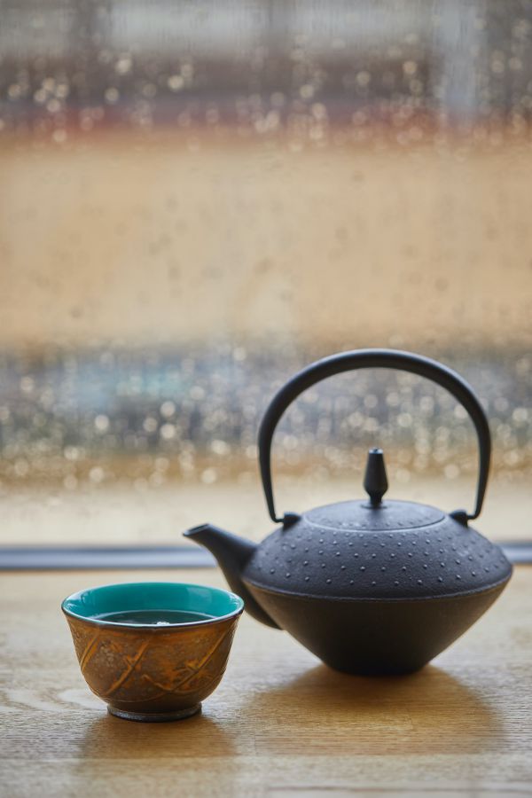 日本茶 煎茶・ほうじ茶 各種450円 急須 庵 0.36ℓサイズ 1万1000円はネットでも購入できます