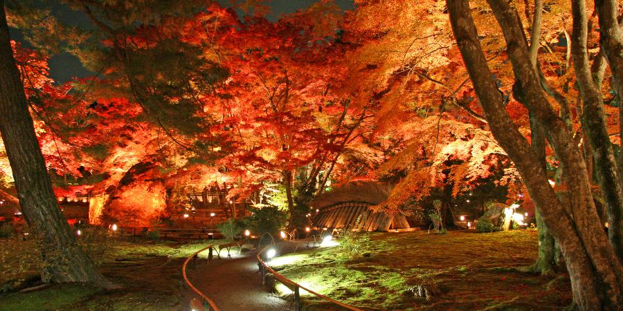 【京都】春・秋のみ特別公開される嵐山の宝厳院へ！ 紅葉に彩られた庭園はライトアップもおすすめ