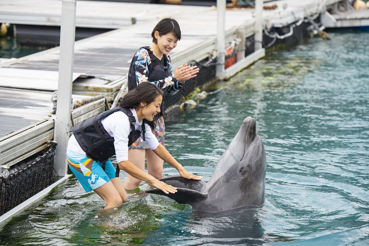 浅瀬でイルカと触れ合えるドルフィンエンカウンターS（スイムプラス）。1人16,000円