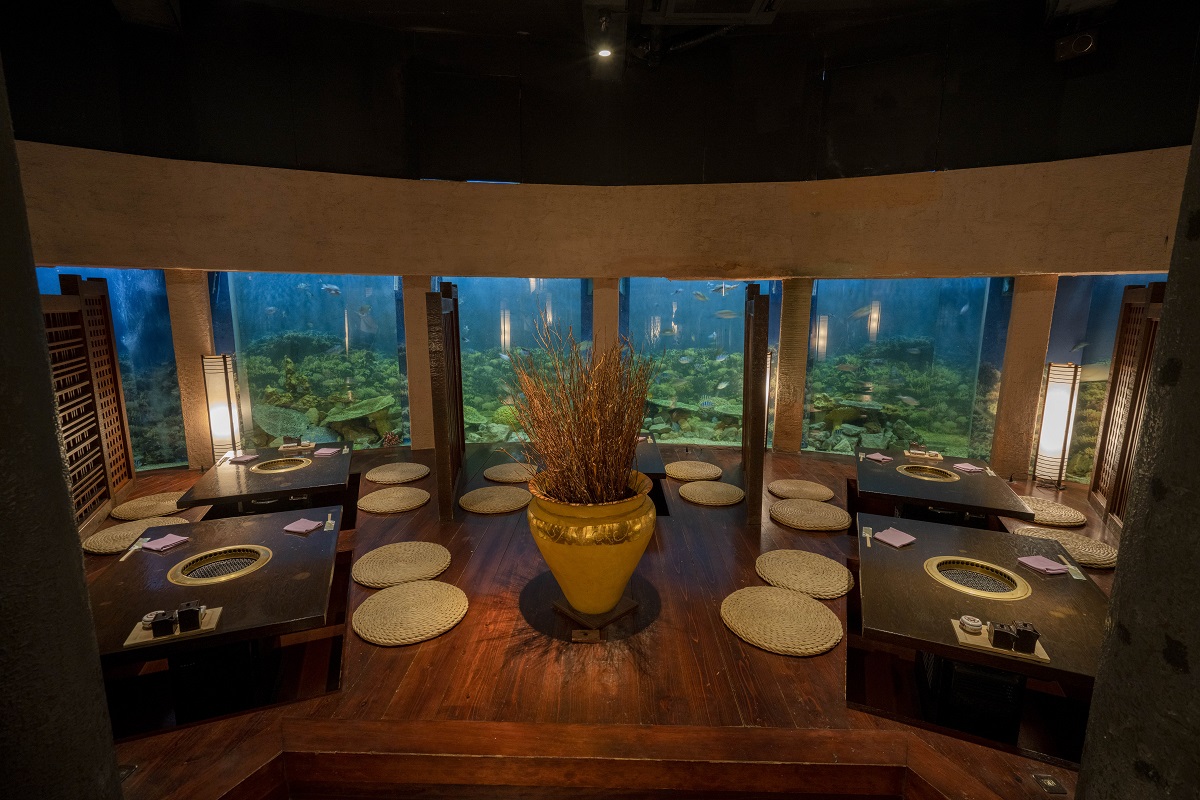 「海風」の店内。思わず海の中にいるかのような気分になります。日曜定休