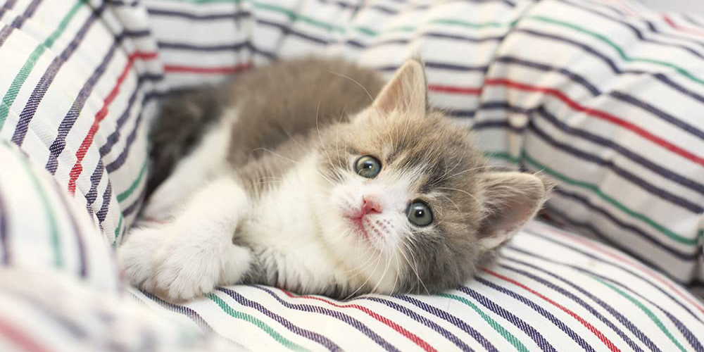 JTBカレンダー　2022