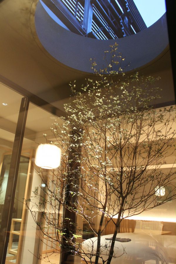 プレミアスイート 坪庭