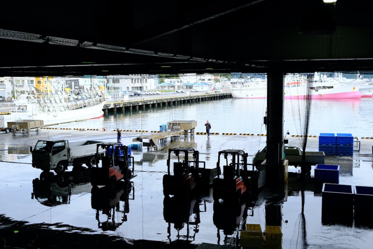 気仙沼魚市場の様子