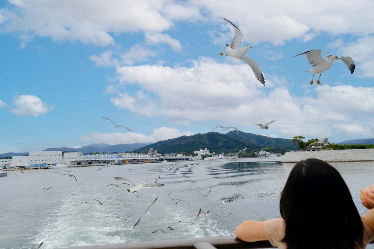 出港すると早くもウミネコたちが追いかけてくる