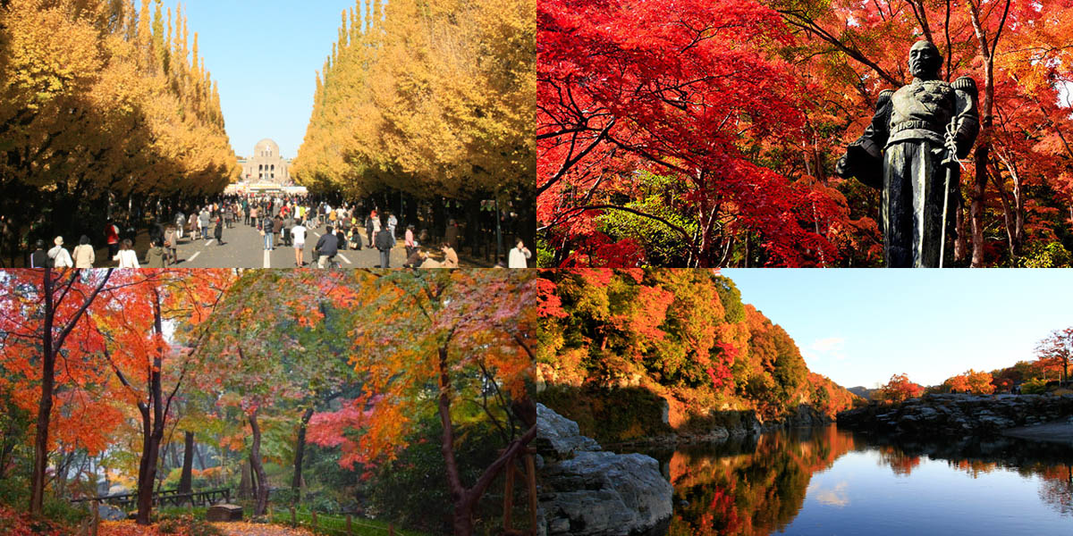 関東のフォトジェニックな紅葉名所～おすすめランキング2025～