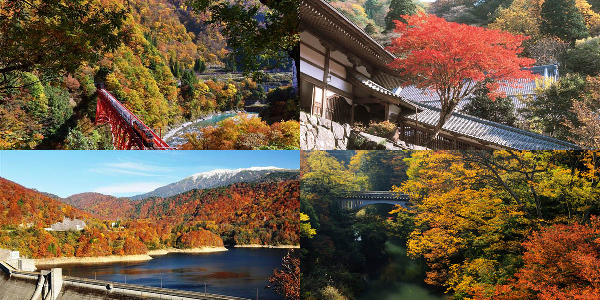 北陸のフォトジェニックな紅葉名所～おすすめランキング2025～