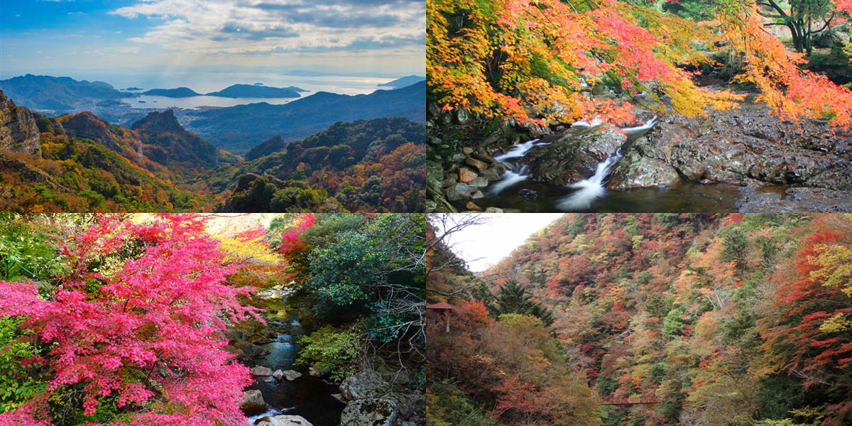 四国のフォトジェニックな紅葉名所～おすすめランキング2025～