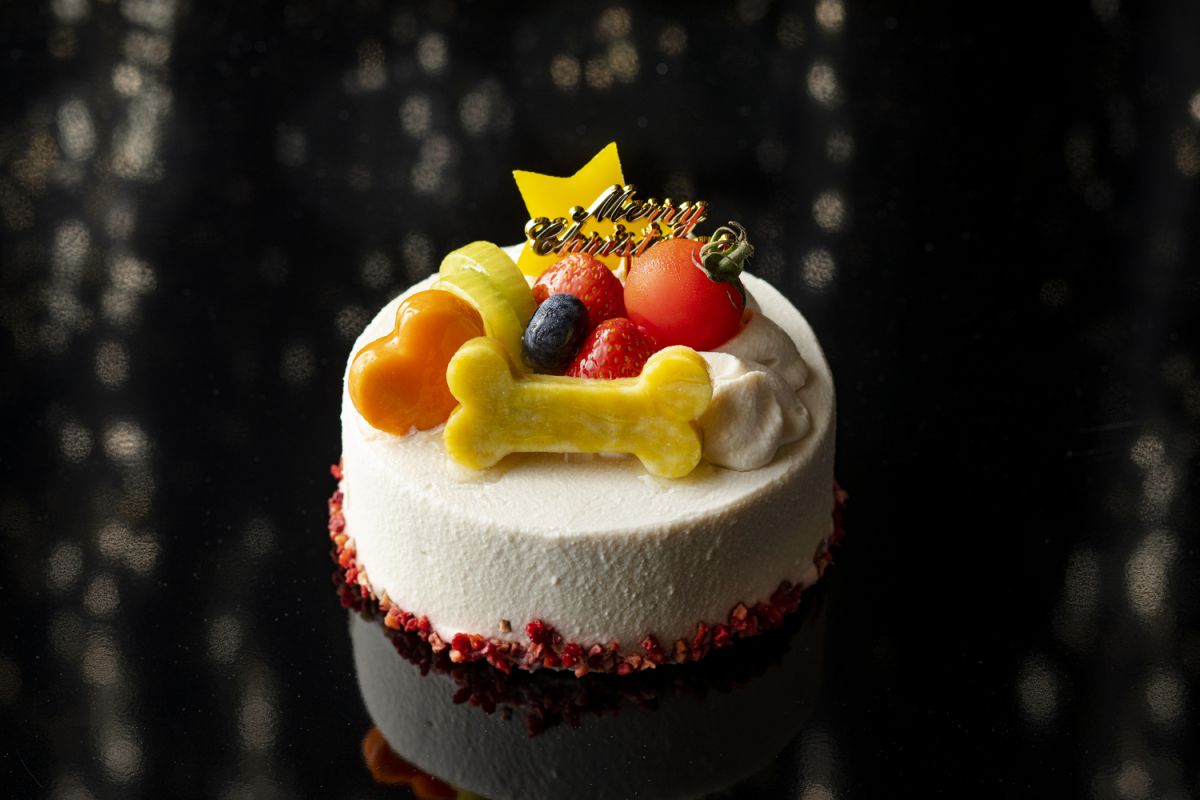 「パウズ・クリスマス ドッグ用ケーキ」直径12cm 3000円