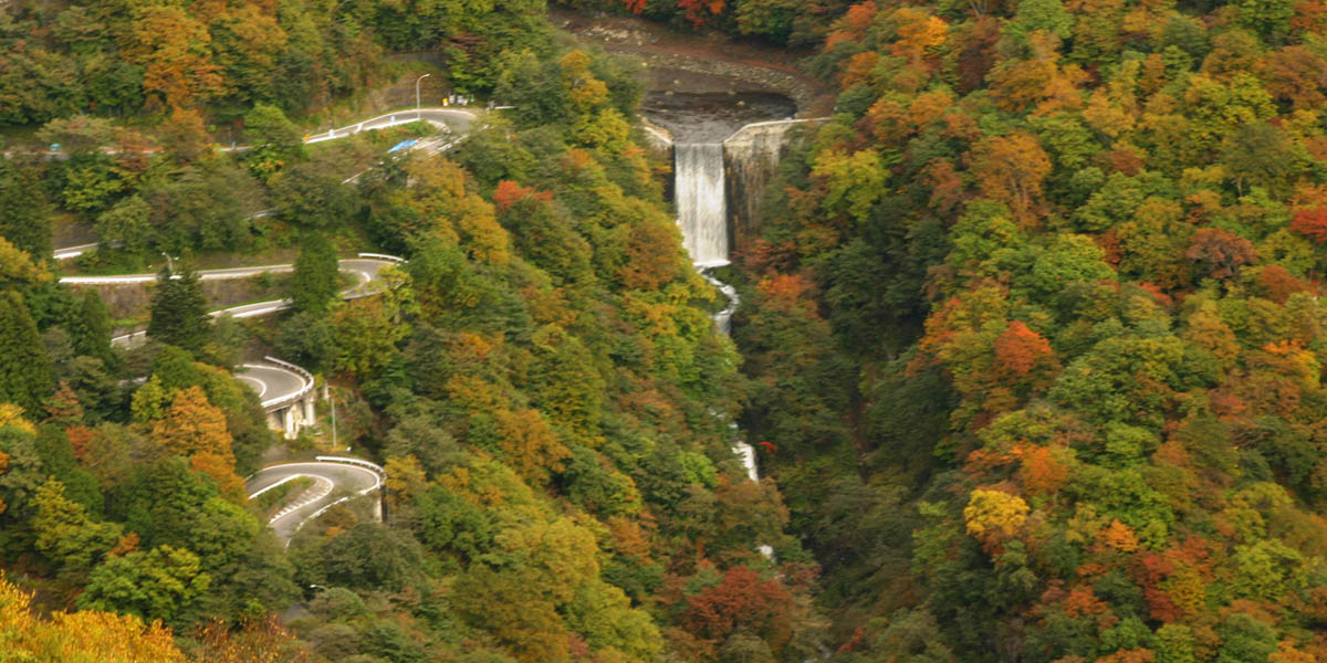 日光（栃木県）のおすすめ紅葉名所2025～華厳滝～中禅寺湖～戦場ケ原など～