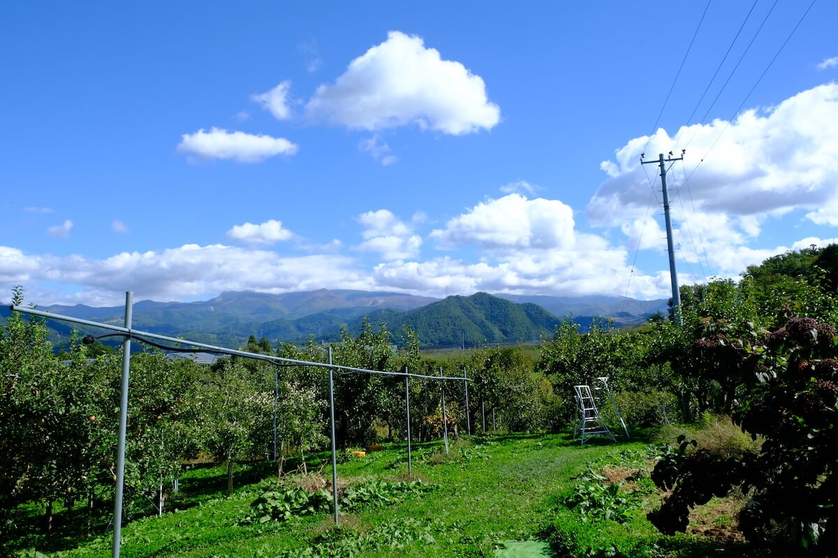 四方を山々に囲まれた農園