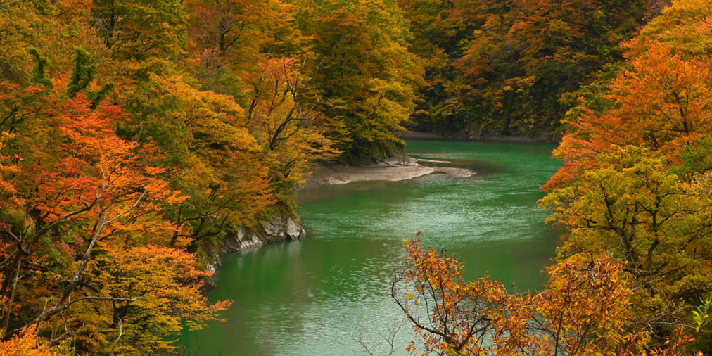 新潟県でおすすめの紅葉名所 見頃やライトアップなどの22年情報