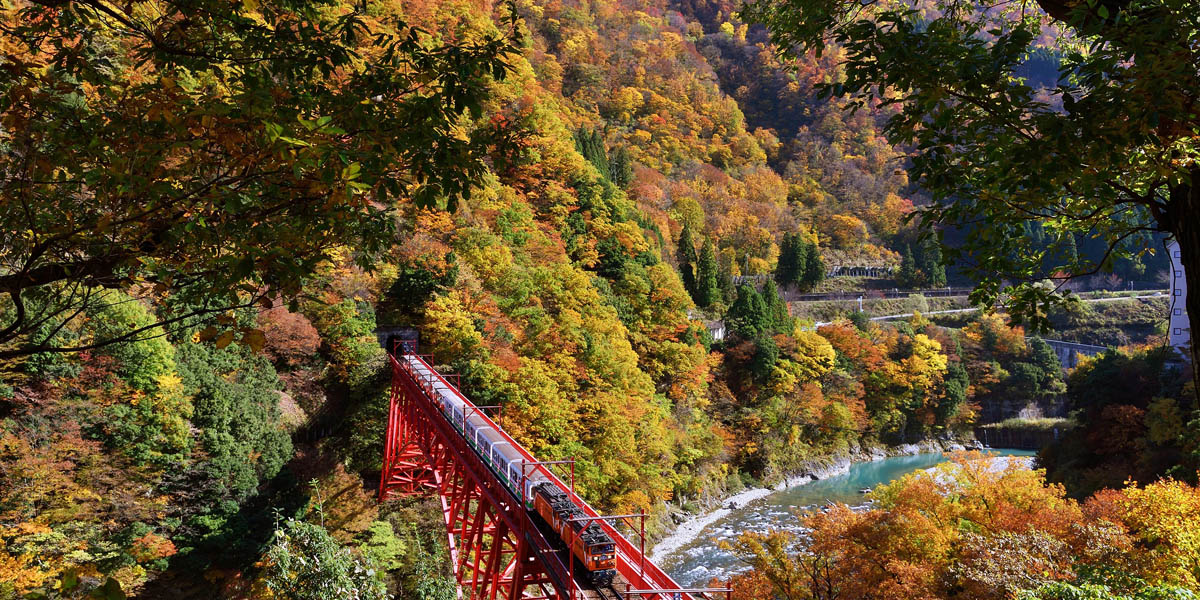 富山県でおすすめの紅葉名所～見頃などの2025年情報～