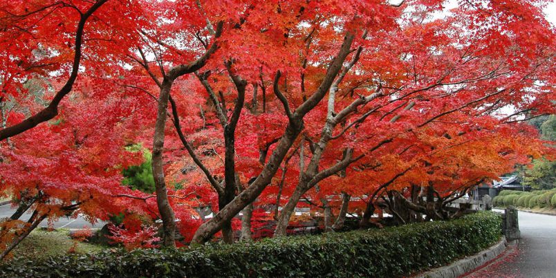 山口県