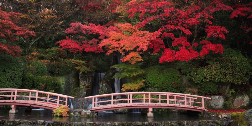 佐賀県