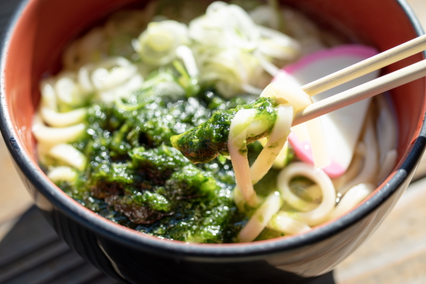 生のりうどん550円