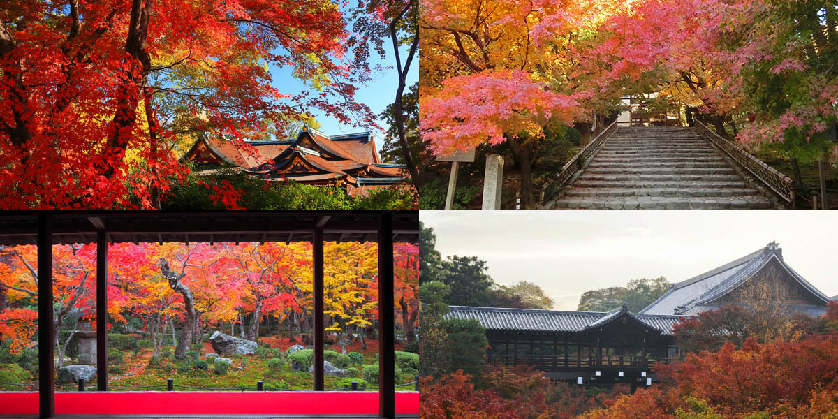京都のおすすめ紅葉名所をエリアごとにチェック！2025年はどこ行く？