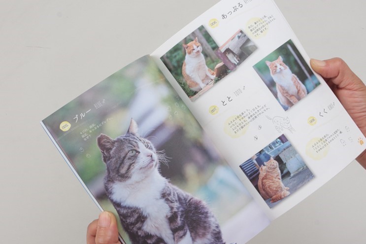 深島ねこ図鑑1760円