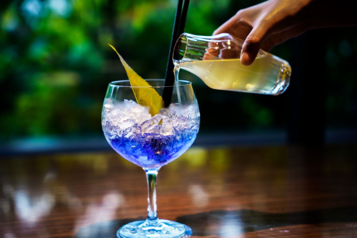 「インディゴプラス」2000円