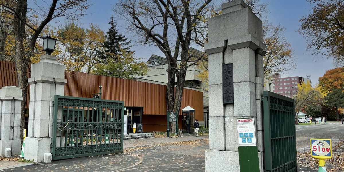 札幌駅から徒歩約10分。「北海道大学」でイチョウ並木が見ごろ！