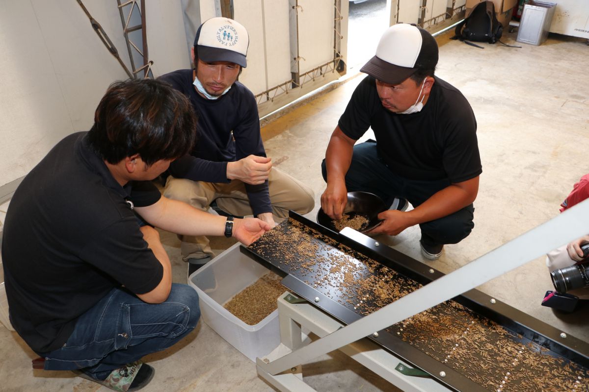 試作を重ねる茶レンジャー