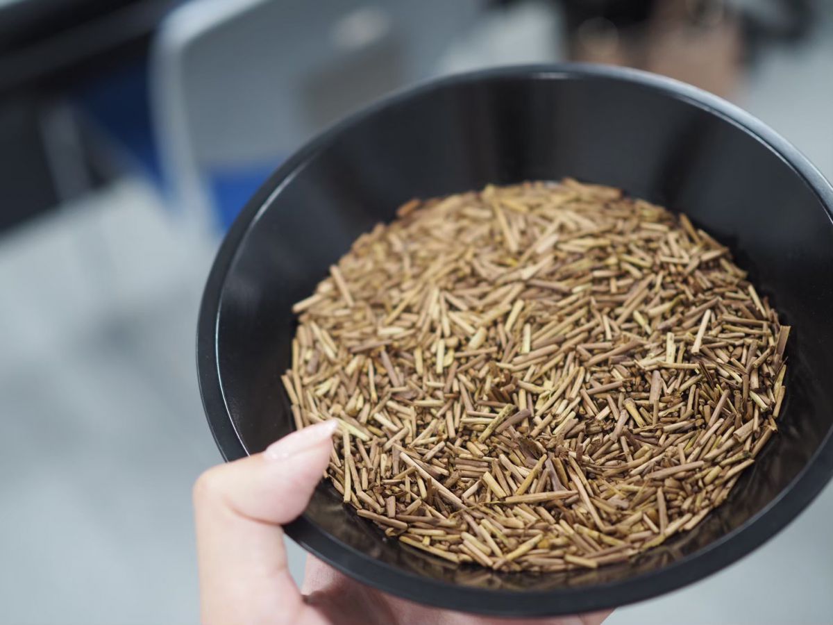 一番茶だけを使った凛茶