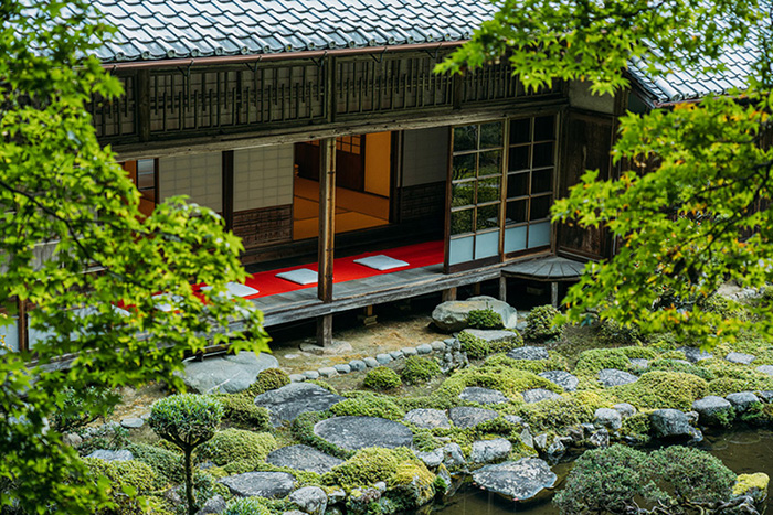 トラベルフォトグラファー・もろんのんがご案内！奈良・かつらぎで撮って遊ぶ、癒しの休日