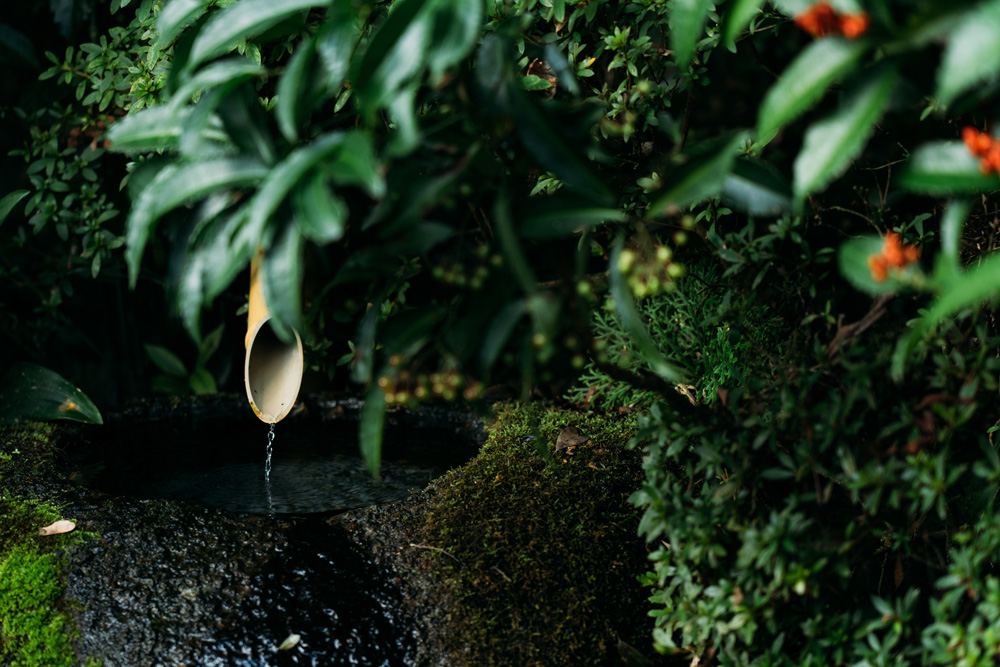 トラベルフォトグラファー・もろんのんがご案内！奈良・かつらぎで撮って遊ぶ、癒しの休日