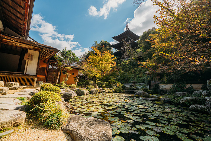 トラベルフォトグラファー・もろんのんがご案内！奈良・かつらぎで撮って遊ぶ、癒しの休日