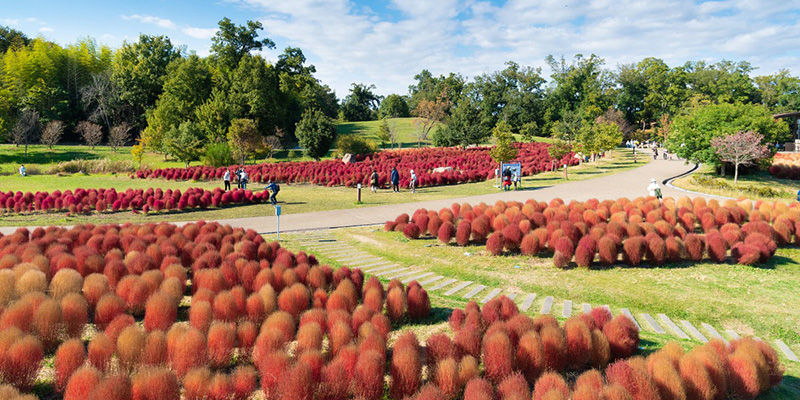 奈良・かつらぎ で心が動いた“映え”フォトを大募集!フォトコンテスト開催のお知らせ