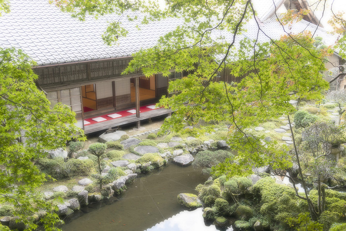 奈良・かつらぎ で心が動いた“映え”フォトを大募集!フォトコンテスト開催のお知らせ