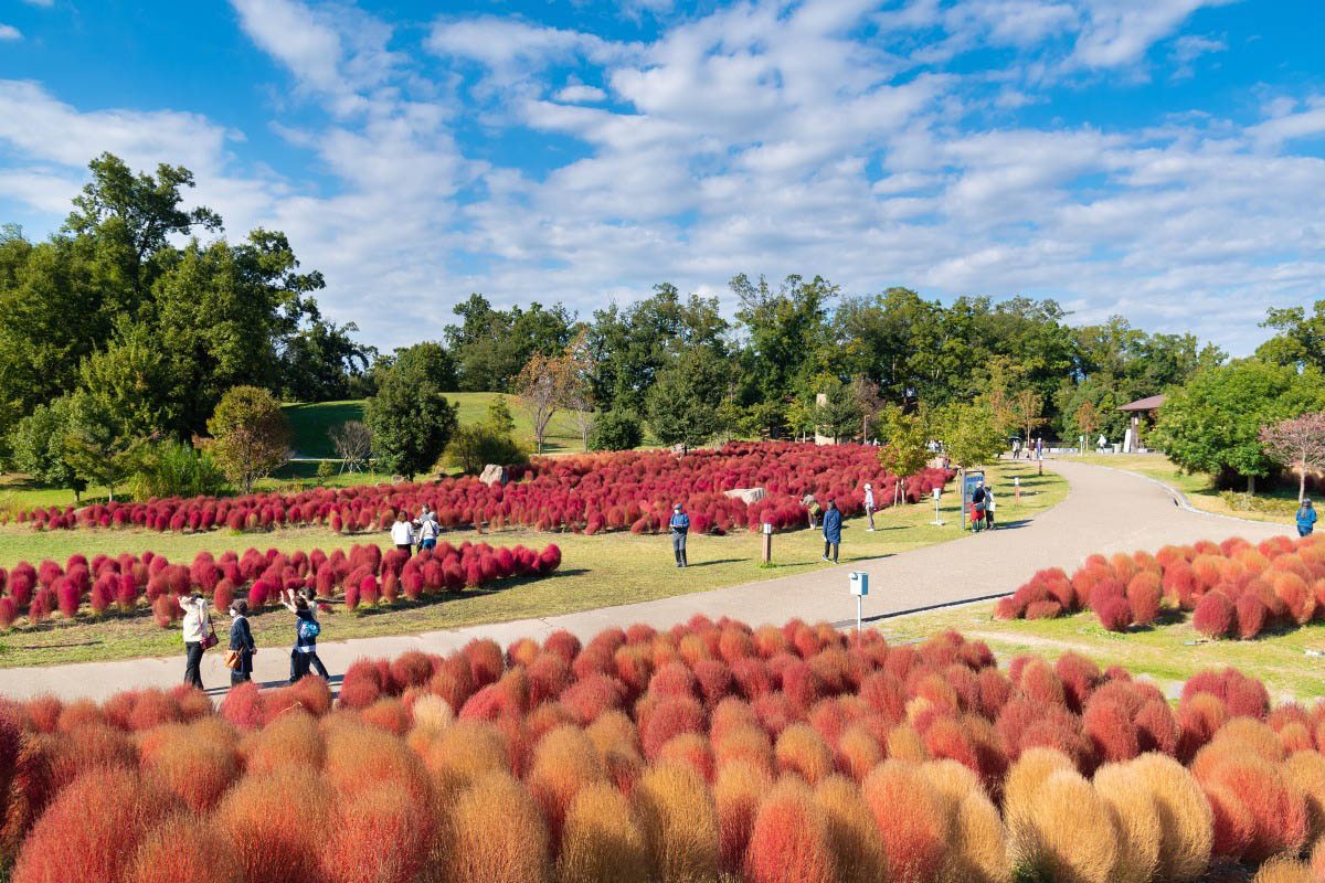 【奈良・かつらぎ】すてきスポット10選!癒しのプチトリップはいかが?