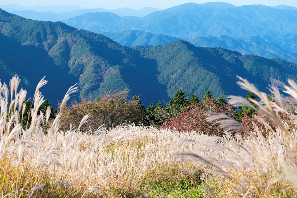 【奈良・かつらぎ】すてきスポット10選!癒しのプチトリップはいかが?