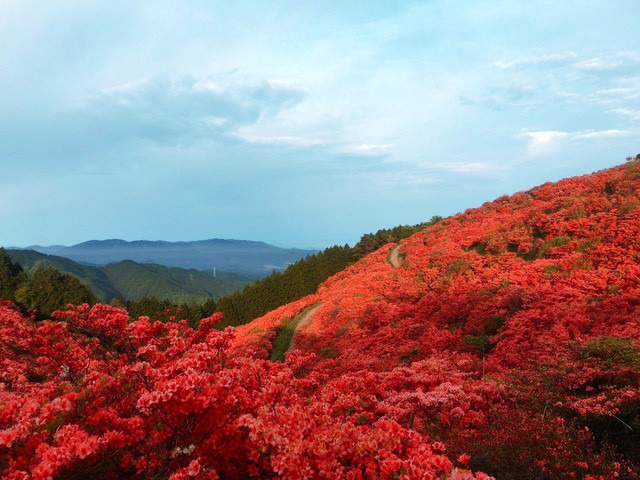 【奈良・かつらぎ】すてきスポット10選!癒しのプチトリップはいかが?