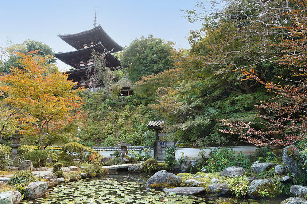 【奈良・かつらぎ】すてきスポット10選！癒しのプチトリップはいかが？