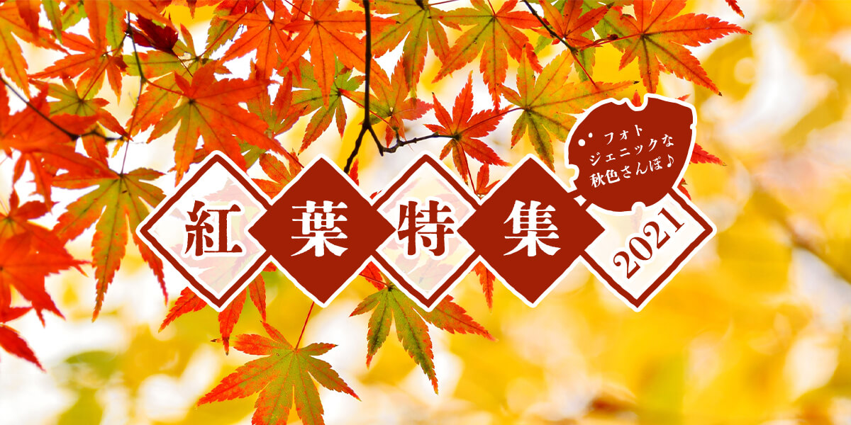 フォトジェニックな秋色さんぽ♪紅葉特集2021