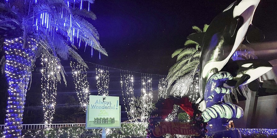 「鴨川シーワールド」2021クリスマスイベント開催！ウインターイルミネーションやシャチのパフォーマンスも