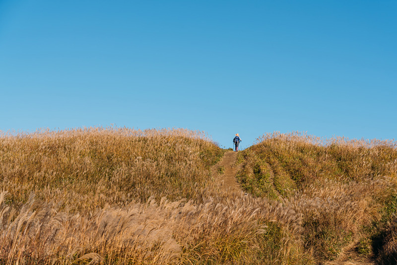 トラベルフォトグラファー・もろんのんがご案内！奈良・かつらぎで撮って遊ぶ、癒しの休日