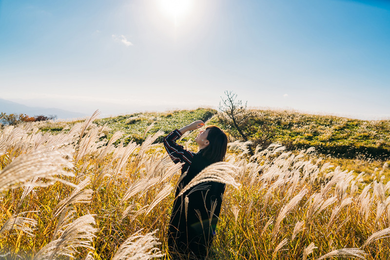 トラベルフォトグラファー・もろんのんがご案内！奈良・かつらぎで撮って遊ぶ、癒しの休日