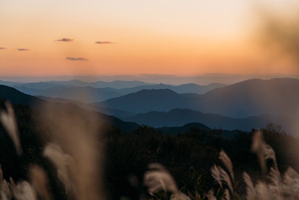 トラベルフォトグラファー・もろんのんがご案内！奈良・かつらぎで撮って遊ぶ、癒しの休日